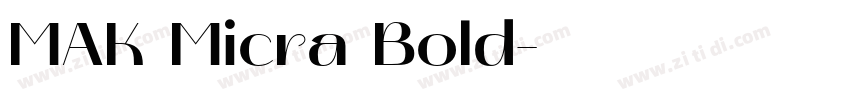 MAK Micra Bold字体转换